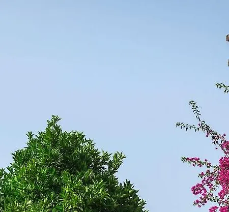 Θέρετρο Venus