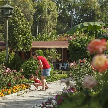 Semesteranläggning (resort) Venus Side