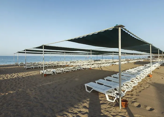 Venus リゾート シダ