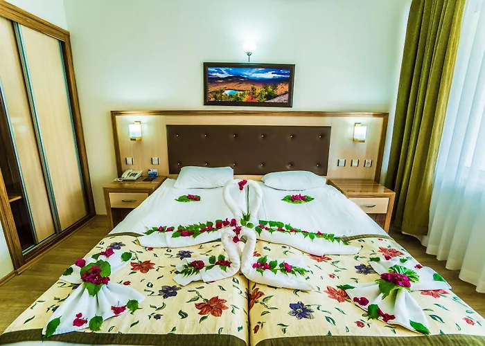 リゾート Venus シダ